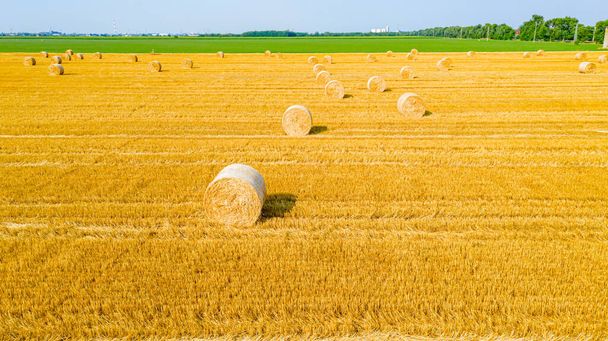 Above view of agricultural field with round bales of straw, after harvesting cereal prepared for farming stack. - Photo, Image
