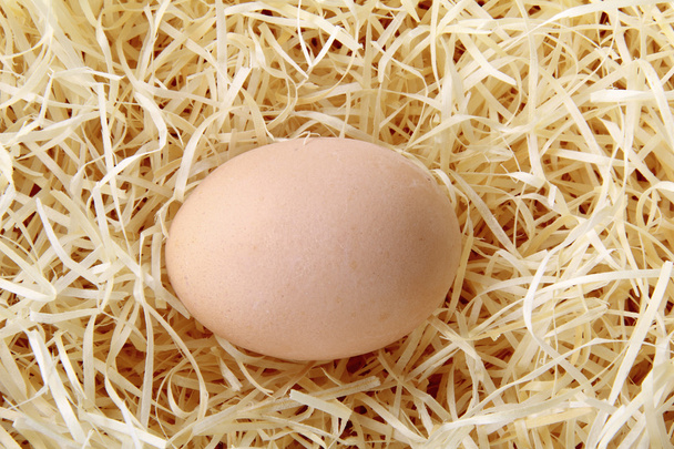 わらのベッドの上 1 つの鶏を卵します。 - 写真・画像