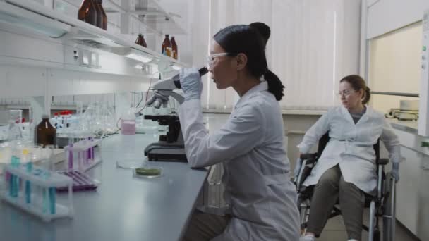 Slowmo nyomon követése különböző vegyészek dolgozó laboratóriumi ázsiai nő mikroszkóppal, míg a női tudós kerekesszékes ellenőrző oldat lombik Fekete férfi tudós nézi kémcső - Felvétel, videó