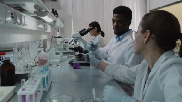 Lentitud visual lateral del diverso equipo de jóvenes químicos femeninos y masculinos en batas blancas haciendo investigación en laboratorio - Metraje, vídeo