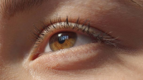 Macro close up brown eye. Caucasian woman watching up. Low angle shot high quality photo image.  - Foto, Imagen