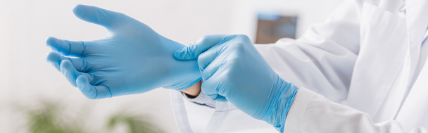 részleges kilátás orvos felvesz kék latex kesztyű a klinikán, banner - Fotó, kép