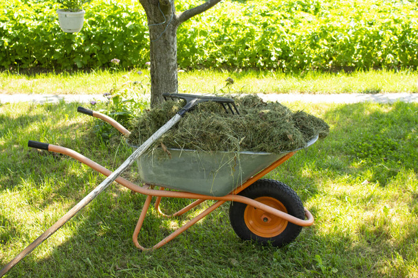 A garden wheelbarrow stands in the backyard of a farm. Nearby additional tools. - Photo, Image