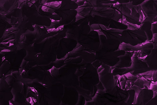 ピンクと紫の抽象的なダーククリエイティブの背景 - 写真・画像