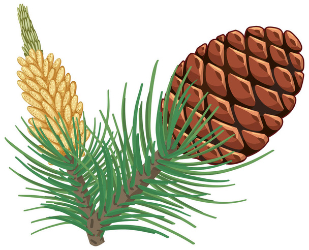Pinecorn with pine needles isolated illustration - Vector, imagen