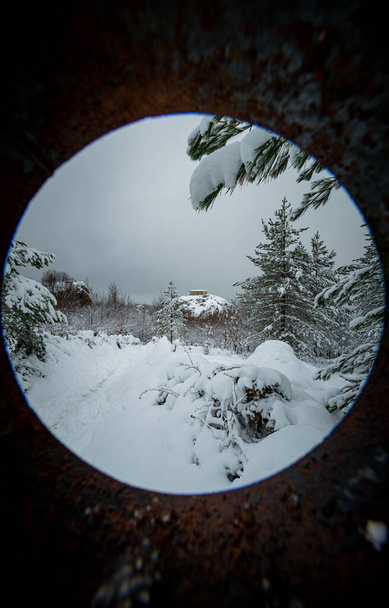 雪と素晴らしい冬の風景 - 写真・画像