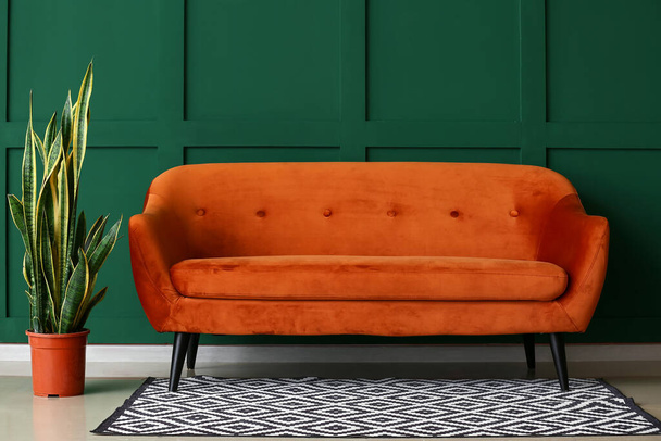 Κομψός καναπές και φυτό εσωτερικού χώρου κοντά σε χρωματιστό τοίχο - Φωτογραφία, εικόνα