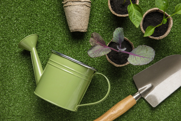 Kastelukannu, kasvit taimet, turve ruukut ja puutarhanhoito lapio värillinen tausta - Valokuva, kuva