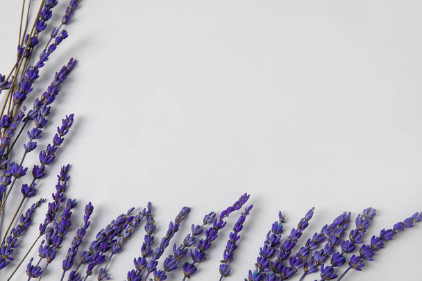 Красивые цветы лаванды на сером фоне - Фото, изображение
