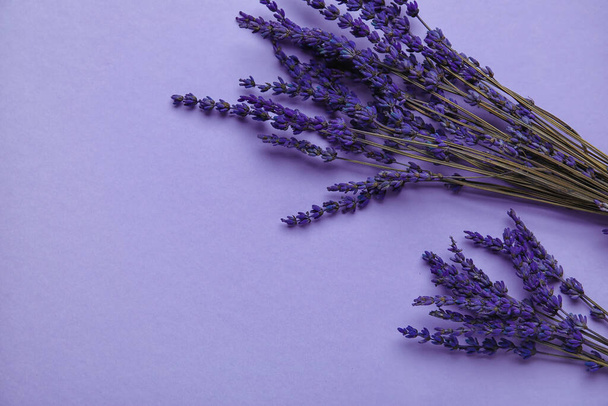 Schöne Lavendelblüten auf farbigem Hintergrund - Foto, Bild