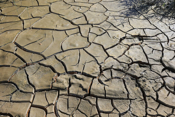 Klimaatopwarming droog gebarsten land  - Foto, afbeelding