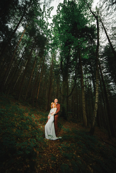 Hand in Hand gehen das Brautpaar durch den Wald. Glückliches Brautpaar hält Händchen und geht am Hochzeitstag im Wald spazieren - Foto, Bild