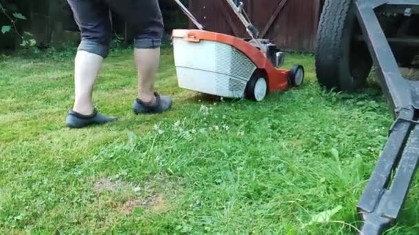 Raccourcissement de pelouse. Concept de jardinage. tondre la pelouse avec une tondeuse à gazon.  - Séquence, vidéo