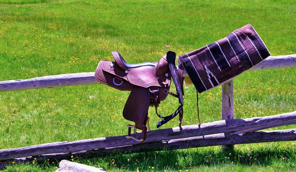 Печаль для лошади Alpe di villandro south tyrol - Фото, изображение