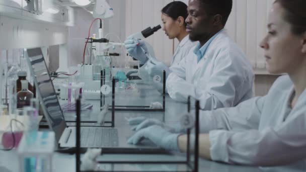 Slowmo inclinar-se tiro de cientistas masculinos e femininos em casacos brancos e luvas fazendo pesquisa em laboratório Ratos brancos estão sentados em tanques de vidro - Filmagem, Vídeo