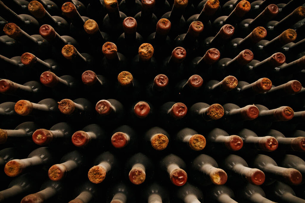 bottles of old wine in dusty cellars - Foto, immagini