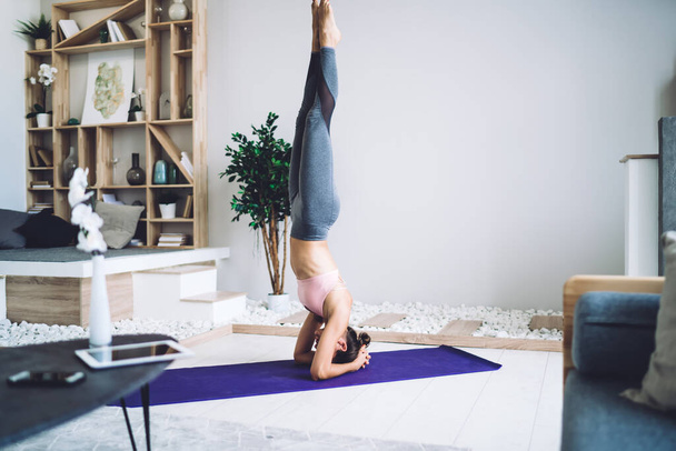 Concentrated faceless young lady in leggings demonstrating balancing skills while doing salamba sirsasana I pose during intense yoga training against interior of modern apartment - 写真・画像
