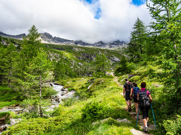 Trekking scene in the italian alps of Val Masino - Foto, Bild