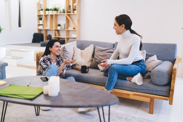 Smiling young women in casual wear sitting on floor and sofa while talking with each other while having rest together in cozy living room - Foto, imagen