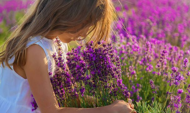 A child in a lavender field. Selective focus. Nature. - Фото, изображение