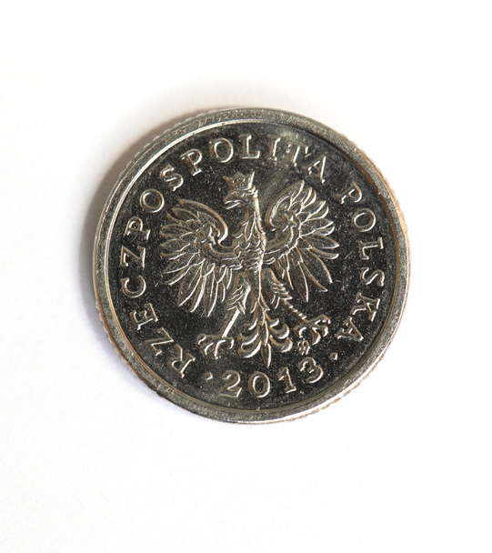 Lengyel pénz - Fotó, kép