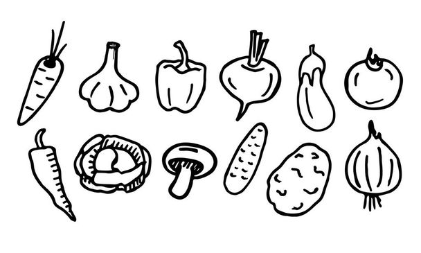 Gemüseset vorhanden. Handgezeichnetes Gemüse. Doodle Gemüse. Vector Doodle isoliert auf weißem Hintergrund. - Vektor, Bild
