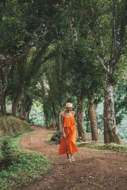 Kobieta w pomarańczowej sukience idzie aleją drzew na plantacji herbaty w górach, Doi Mae Salong, Chiang Rai, Tajlandia - Zdjęcie, obraz