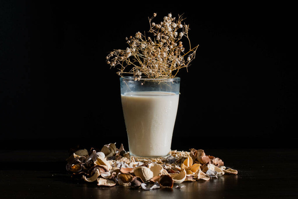 A glass of oat milk on a black background - Photo, image