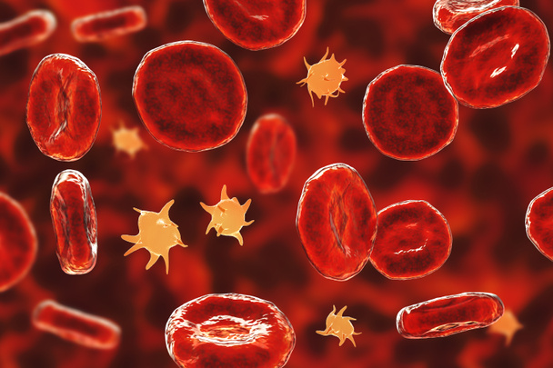 Ενεργά αιμοπετάλια σε κηλίδες αίματος και ερυθρά αιμοσφαίρια, τρισδιάστατη απεικόνιση - Φωτογραφία, εικόνα