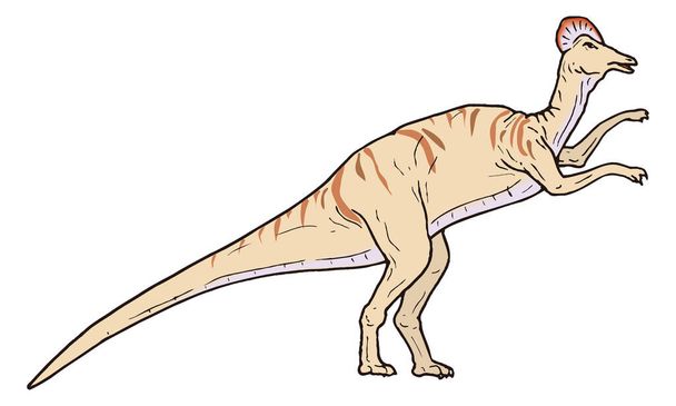 corythosaurus dinosaur ancient vector illustration transparent background - Vector, Image