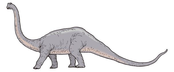 diplodocus dinosaurus antiikin vektori kuvitus läpinäkyvä tausta - Vektori, kuva