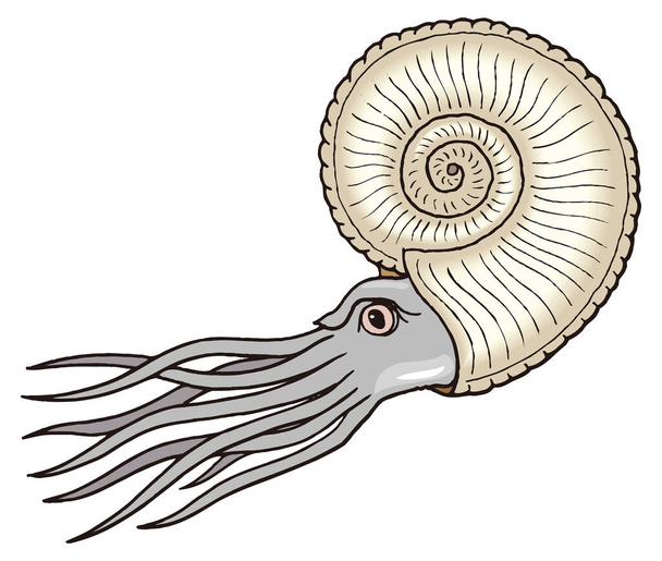 Grau Ammoniten Meer schwimmen Dinosaurier alten Vektor Illustration transparenten Hintergrund - Vektor, Bild