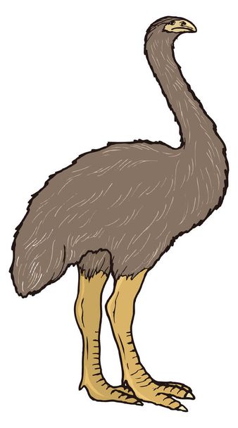 moa ostrich ancient bird dinosaur ancient vector illustration transparent background - Vector, Image