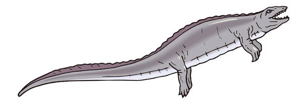 placodus dinosaurus antiikin vektori kuvitus läpinäkyvä tausta - Vektori, kuva