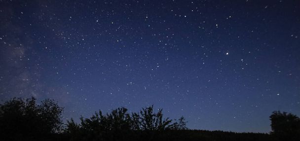 starry night sky on a warm summer night. High quality photo - Foto, Imagen