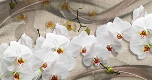 3d tapety tekstury, białe orchidee na tkaninie płótno tekstury. - Zdjęcie, obraz
