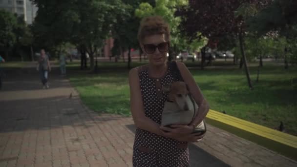 Ystävyys eläinten kanssa, vanhempi naisomistaja matkustaa mäyräkoiran kanssa lemmikkieläinten kantolaukussa olkapäällä kaupungissa. Carrier olkapää kannettava laukku pussi pienille koirille ja vanhusten nainen kävelyllä kesällä - Materiaali, video