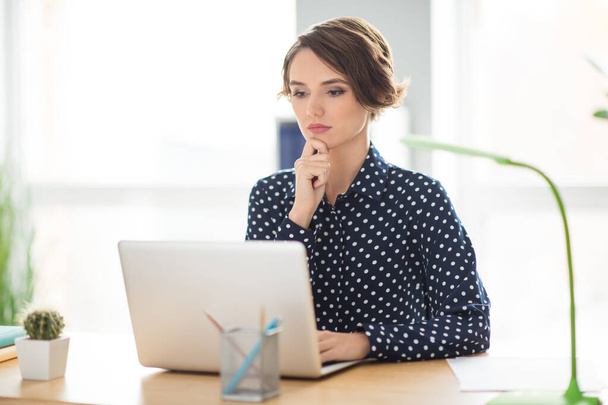 Portrait of attractive focused busy business lady specialist browsing presentation on web work place station indoors - Foto, imagen