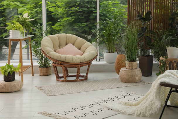 Intérieur terrasse intérieure avec chaise papasan doux et plantes vertes - Photo, image