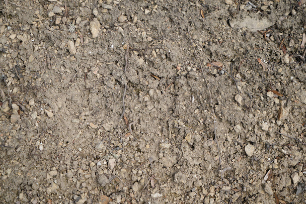 A closeup shot of a muddy ground - Foto, Bild