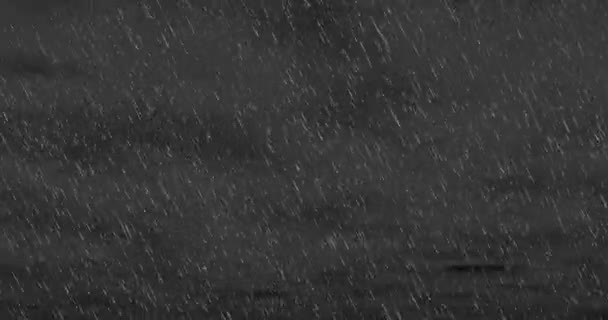 A fehér cseppek viharhatása 45 fokos szögben esik, ködös háttérrel a feketén. Beleértve az Alfa csatornát. 3D animáció - Felvétel, videó