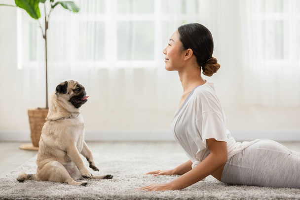 Asiatische junge Frau praktiziert Yoga mit Hund Mops Rasse genießen und entspannen mit Yoga im Schlafzimmer, Gesundes Mädchen macht Yoga Cobra Pose Übung mit Hund zusammen, Freizeit Yoga mit Hund Konzept - Foto, Bild