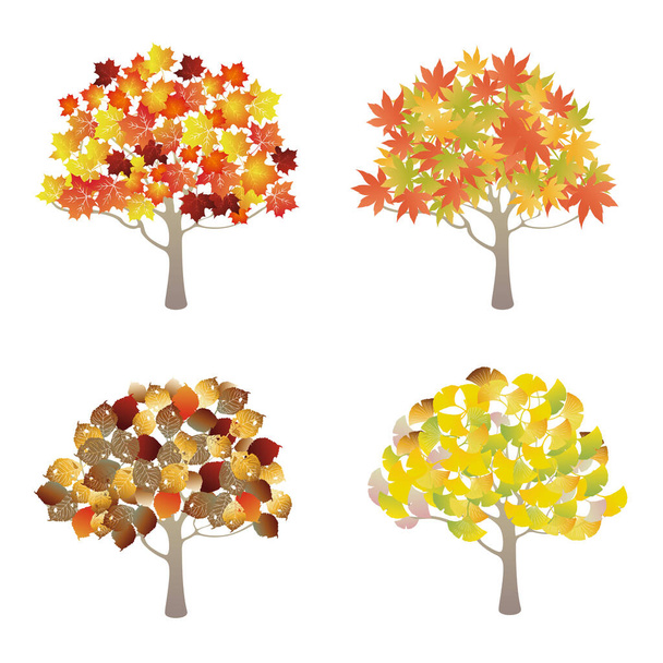 Autunno foglie albero illustrazione set - Vettoriali, immagini
