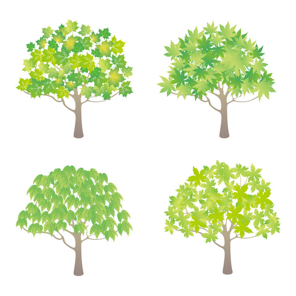 Grüne Blatt Baum Illustration Set - Vektor, Bild