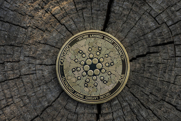 enkele gouden ada munt van cardano munt liggend op een donkere gebarsten boomstam terug midden detail - Foto, afbeelding