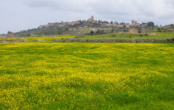Vue générale de la ville médiévale de Trujillo depuis la périphérie ouest. Caceres, Estrémadure Espagne - Photo, image