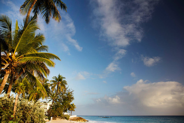 Zomer op Barbados Island. Exotische vakanties. Palmbomen. Turkoois water. Zonnige blauwe lucht. Prachtig wit zandstrand. - Foto, afbeelding