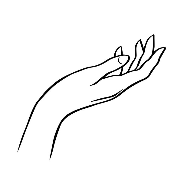 Esquema de la mano femenina. Cuidar la piel delicada. Belleza y salud. Logo para un salón de belleza y manicura. Ilustración aislada vectorial en blanco y negro - Vector, Imagen