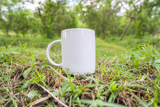 Witte koffiemok op het gras. Mok-up op gras in de tuin. Witte mok geïsoleerd op gras achtergrond. natuur koffie mok - Foto, afbeelding
