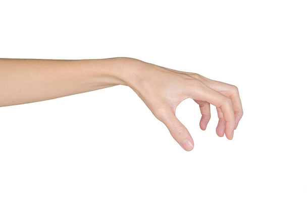 Closeup of female hand holding. Isolated on white background - Photo, Image